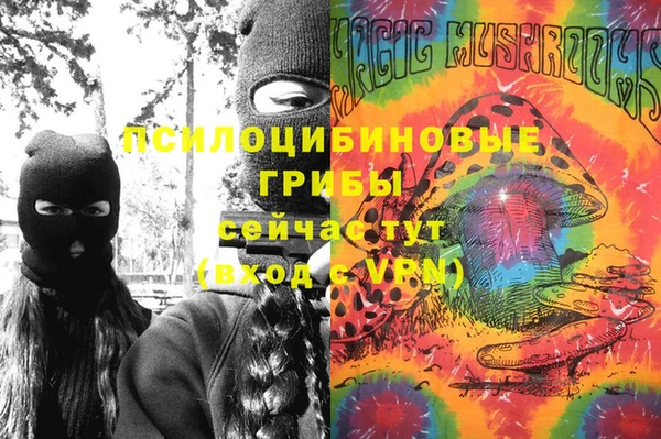 а пвп мука Белокуриха
