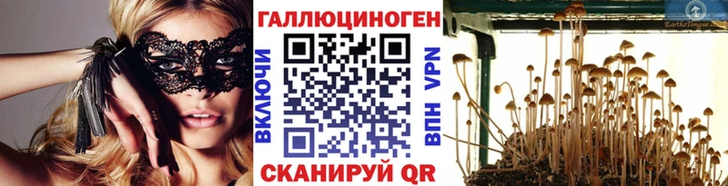 mega tor  Фатеж  Галлюциногенные грибы ЛСД 